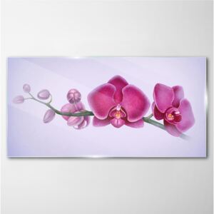 Skleneny obraz Skleneny obraz Akvarel kvetinová vetva orchidea