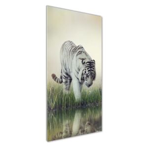 Moderný akrylový fotoobraz Biely tiger pl-oa-50x125-f-84071201