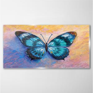 Obraz na skle Obraz na skle Motýľ hmyz farebný
