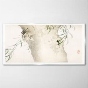 Obraz na skle Obraz na skle Strom vetvy hmyz listy