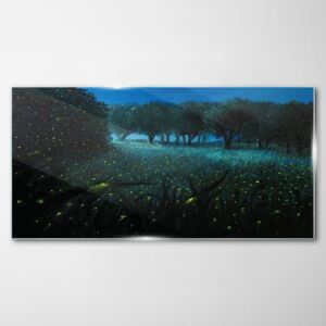 Obraz na skle Obraz na skle Lesné nočné svetlo