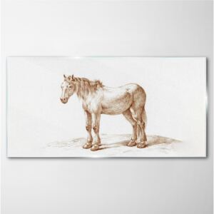 Obraz na skle Obraz na skle Kreslenie koňa