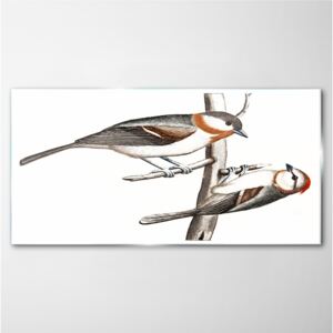 Obraz na skle Obraz na skle Kreslenie zvierat vtákov