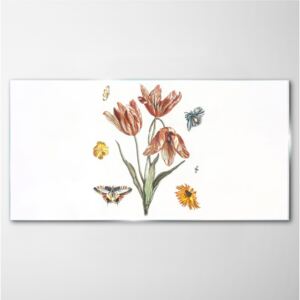 Obraz na skle Obraz na skle Kvety rastlín