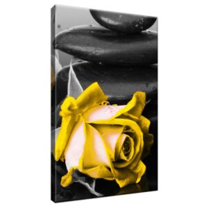 Obraz na plátne Yellow roses and spa 20x30cm 2554A_1S