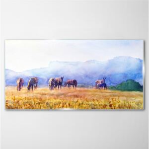 Obraz na skle Obraz na skle Zvieratá kone horses meadow príroda