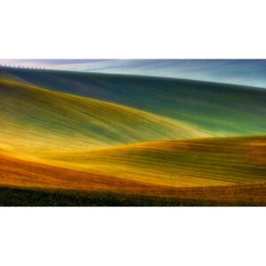 Umelecká fotografia Spring fields, Piotr Krol (Bax)