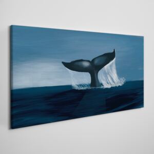 Obraz na plátně Obraz na plátně Veľryba zvierat mora