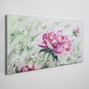 Obraz na plátně Obraz na plátně Maľovanie kvety pivonky