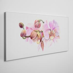 Obraz na plátně Obraz na plátně Akvarel orchidea kvetina