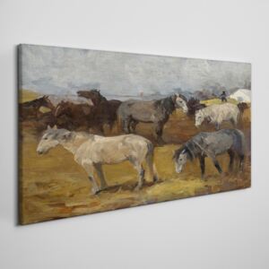 Obraz na plátně Obraz na plátně Maľovanie zvierat kone