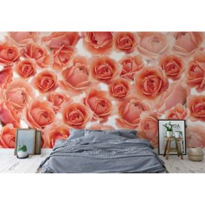 Fototapeta - Pink Roses Flowers Vliesová tapeta - 206x275 cm