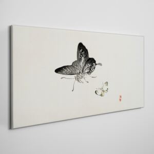 Obraz na plátně Obraz na plátně Moderné hmyz motýľ