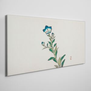 Obraz na plátně Obraz na plátně Ázijské kvety rastliny