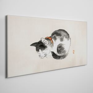 Obraz na plátně Obraz na plátně Zvieracie mačka