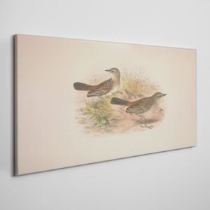 Obraz na plátně Obraz na plátně Vtáky béžová zvieratá
