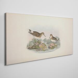 Obraz na plátně Obraz na plátně Vtáky béžová zvieratá