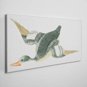 Obraz na plátně Obraz na plátně Kreslenie zvierat vták kačica