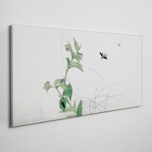 Obraz na plátně Obraz na plátně Ázijské hmyz listy