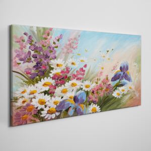 Obraz na plátně Obraz na plátně Maľovanie kvety rastlina