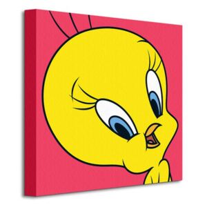 Obraz na plátne Looney Tunes (Tweety) 40x40cm WDC95122