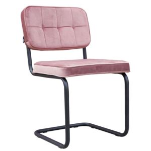 Ružová zamatová jedálenská stolička Capri pink - 52 * 55 * 89 cm