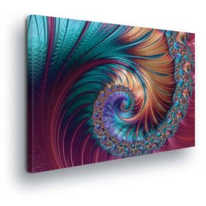 Obraz na plátne - Abstract Swirl in Color Tones 60x40 cm