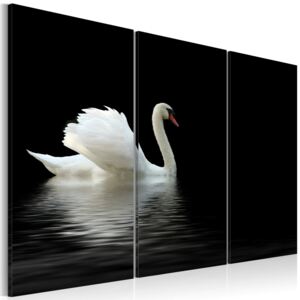 Obraz na plátne - Osamělá labuť 120x80 cm