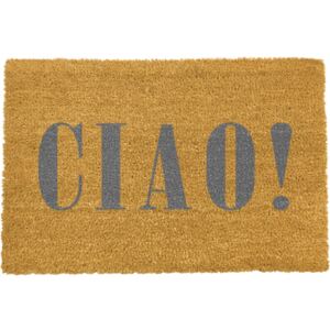 Rohožka Artsy Doormats Ciao Grey, 40 × 60 cm