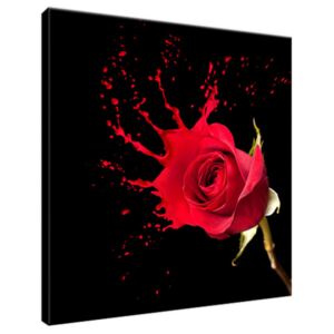 Obraz na plátne Šplech červená ruža 30x30cm 1216A_1AI