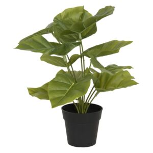 Clayre & Eef Dekorácie umelá rastlina - 30 * 30 * 34 cm