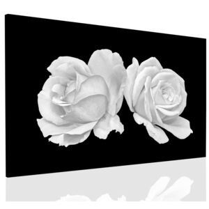 InSmile Obraz tajemná bílá růže 90x60 cm