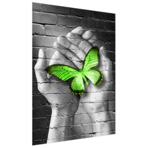 Fototapeta Zelený motýľ v dlaniach 150x200cm FT2362A_2M