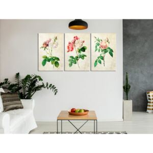 Obraz kolekcia kvetov - Floral Trio