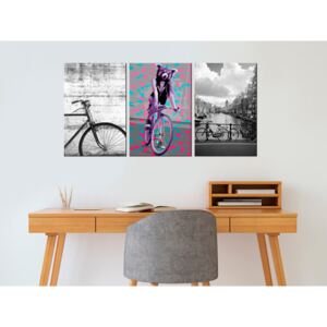 Obraz bicykle - Bikes