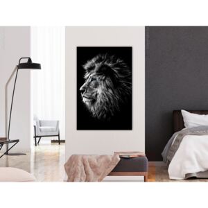 Obraz modrooký lev - Blue-eyed Lion