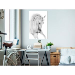 Obraz biely kôň - White Horse