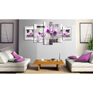 Obraz fialová orchidea - With violet accent