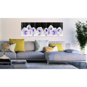 Obraz orchidea vo vode - Water Orchids