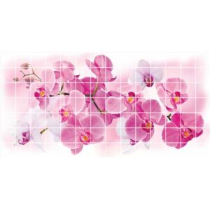 Obkladové 3D PVC panely TP10018768, rozmer 955 x 480 mm, kvety orchidey, GRACE