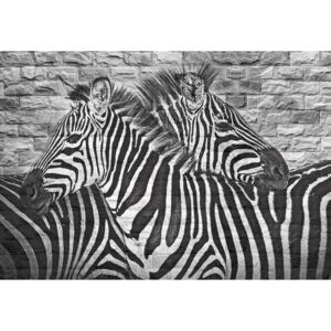 Fototapeta, Tapeta Brick Wall Zebras, (211 x 91 cm)