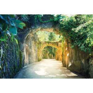 Fototapeta, Tapeta Garden Tunnel, (254 x 184 cm)