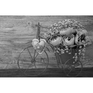 Obraz čiernobiele kvety vo vintage váze