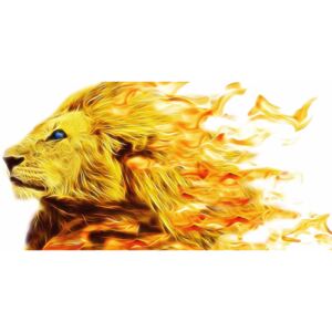 Obraz ohnivý lev