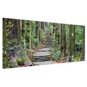 Obraz kamenných schodov v lese (120x50 cm)