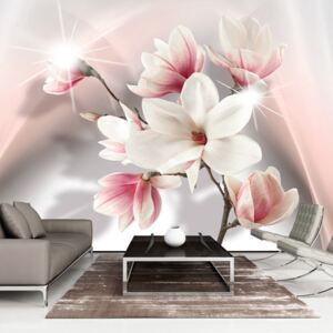 Fototapeta XXL Bimago - White Magnolias II + lepidlo zadarmo 500x280 cm