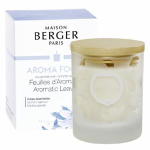 Maison Berger Paris sviečka Aroma Focus – Aromatické lístie, 180 g