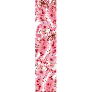 Samolepiace dekoračné pásy DS 001, rozmer 60 cm x 260 cm, jabloňové kvety, Dimex