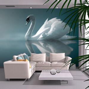 Fototapeta - White swan 200x154 cm