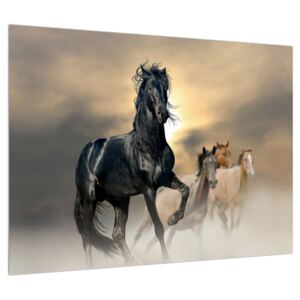 Obraz koňa (70x50 cm)